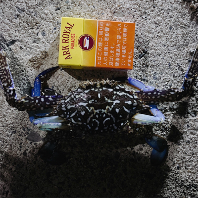 前回の雪辱。今度は餌釣りで