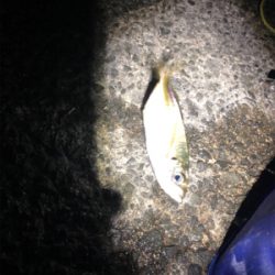 夜中にフロートアジング