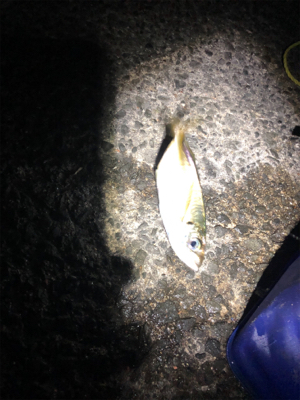 夜中にフロートアジング