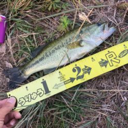 ヘビキャロランガン〜