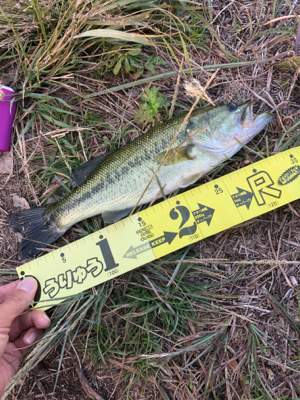 ヘビキャロランガン〜