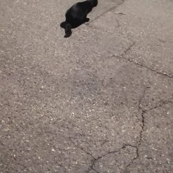 アジング練習 202