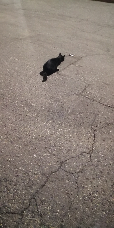 アジング練習 202