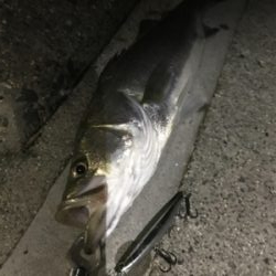 潮止まり直前に！