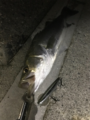 潮止まり直前に！