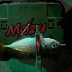 違和感を掛ける