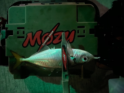 違和感を掛ける