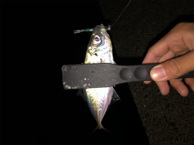 ショアジギング