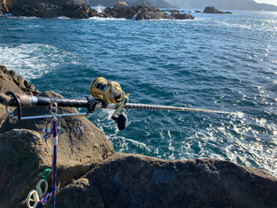 石鯛釣り！