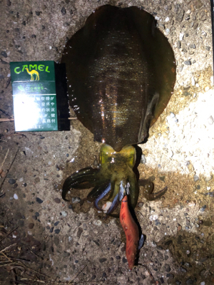 何とかかんとか