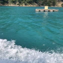 久しぶりの筏に❗️