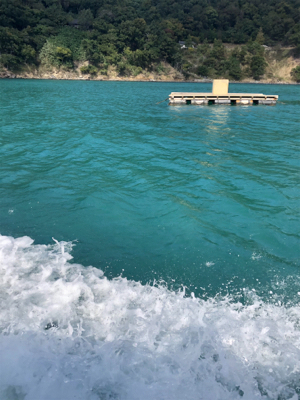 久しぶりの筏に❗️