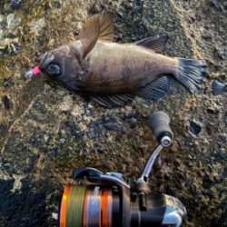 寒くなってきた