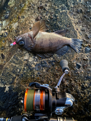 寒くなってきた