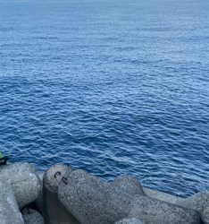 ショアジギング