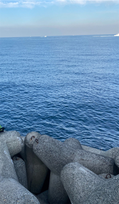 ショアジギング