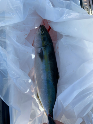 舞鶴沖ジギング