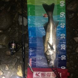 前回に続きd(^_^o)