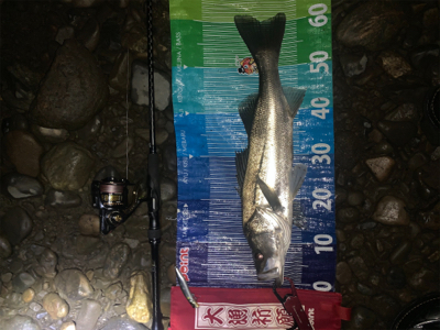 前回に続きd(^_^o)