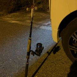 やっと釣れた(。-∀-)