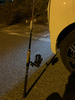 やっと釣れた(。-∀-)