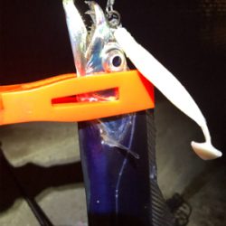 千田漁港サイコー！！