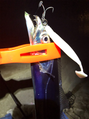 千田漁港サイコー！！