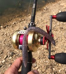 出ました「ゴーマル」GUNNING-STYLE