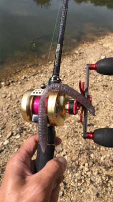 出ました「ゴーマル」GUNNING-STYLE