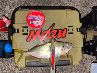 常夜灯　ボトムドリフト