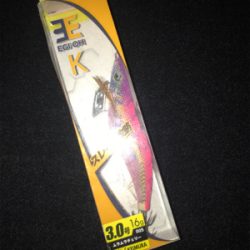 まだアオリイカ  釣れます(^^)