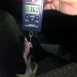 仕事終わりに2時間だけ。