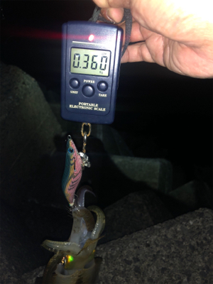 仕事終わりに2時間だけ。