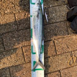 朝晩寒くなってきました！