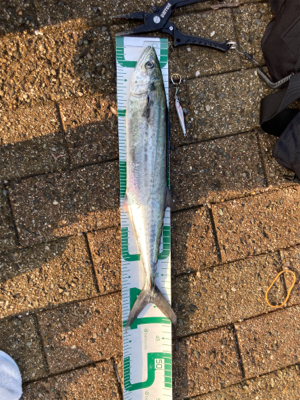 朝晩寒くなってきました！