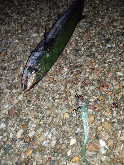 ランガンでズドン