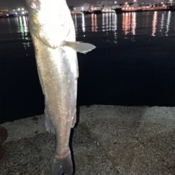 激しいボイルの中！よく食ってくれた