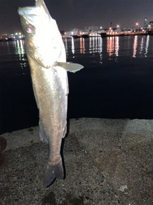 激しいボイルの中！よく食ってくれた