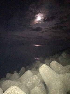 月夜でアオリイカ  GET＼(^o^)／