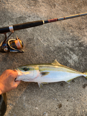 ハマチゲッツ！