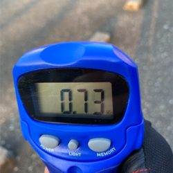 いいサイズになってきた♪