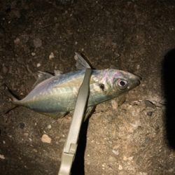 フロートアジング