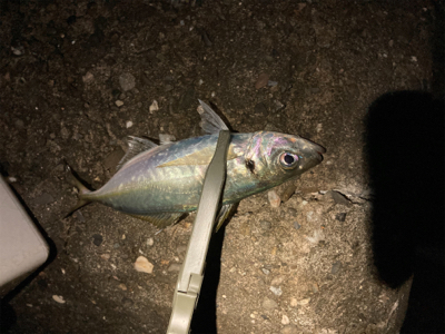 フロートアジング