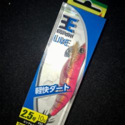 エギングなのに…タコングσ(^_^;)