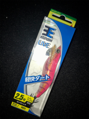 エギングなのに…タコングσ(^_^;)