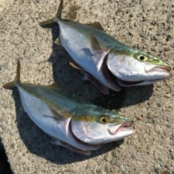 土日トレーニング