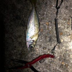 いつものところで