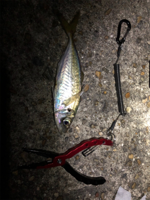 いつものところで