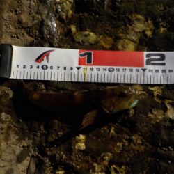 くちびる真っ青。アナハゼです！