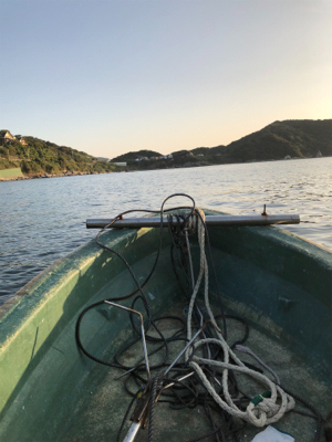 トローリングエギ